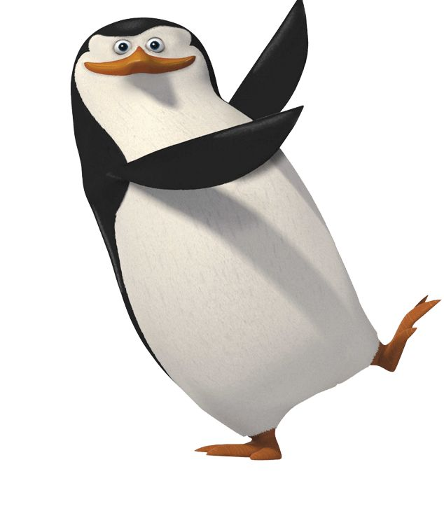 Paquete Skiper